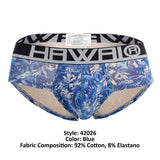 Briefs