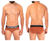 Solid Microfiber Hip Briefs