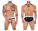 PIK 0841 Industry Briefs